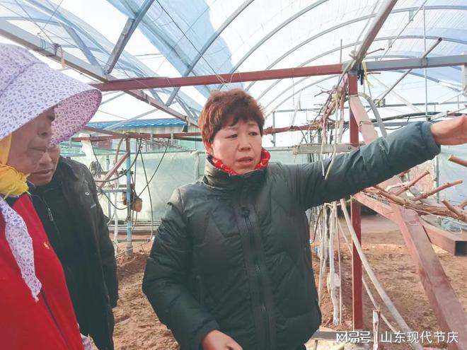 主秦红丽：果香飘满 巾帼能手展宏图麻将胡了烟台市蓬莱区桦普家庭农场场