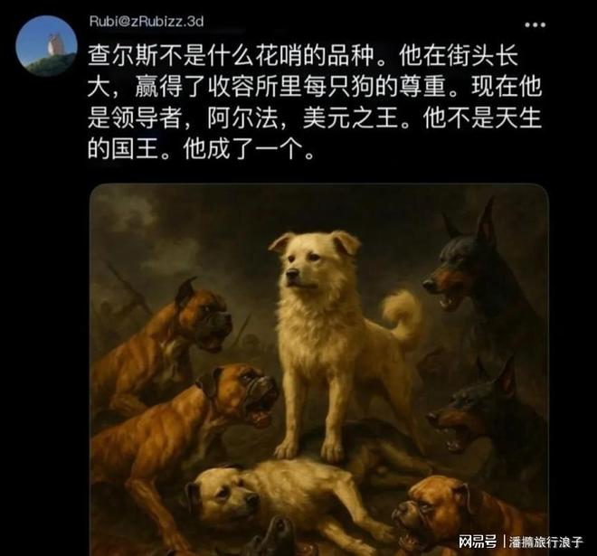 火！身价飙升至10万美元狗主人被扒麻将胡了贵州下司犬“查理国王”爆(图18)