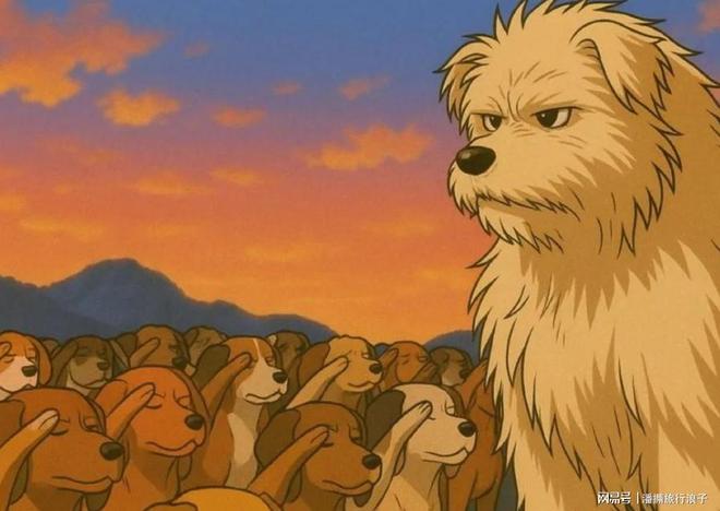 火！身价飙升至10万美元狗主人被扒麻将胡了贵州下司犬“查理国王”爆(图5)