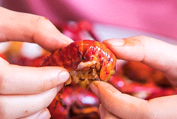 道:72个情绪价值营造标杆案例麻将胡了试玩旅游餐饮场景破局之(图81) 道:72个情绪价值营造标杆案例麻将胡了试玩旅游餐饮场景破局之(图81)