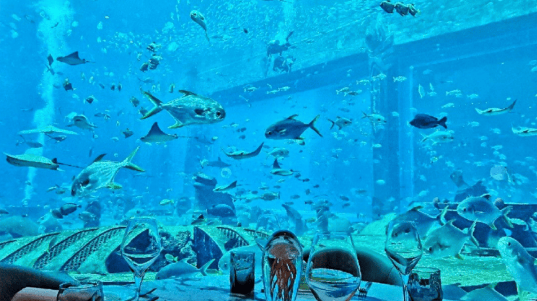 道:72个情绪价值营造标杆案例麻将胡了试玩旅游餐饮场景破局之(图78) 道:72个情绪价值营造标杆案例麻将胡了试玩旅游餐饮场景破局之(图78)