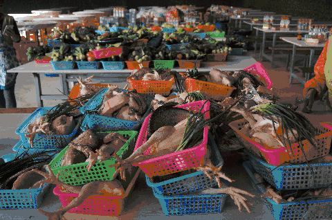 道:72个情绪价值营造标杆案例麻将胡了试玩旅游餐饮场景破局之(图13) 道:72个情绪价值营造标杆案例麻将胡了试玩旅游餐饮场景破局之(图13)